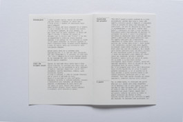 JACOPO BRIDDA | GRAPHIC DESIGN