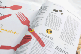 JACOPO BRIDDA | GRAPHIC DESIGN