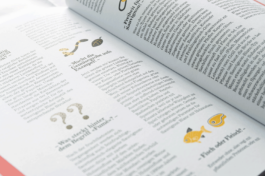 JACOPO BRIDDA | GRAPHIC DESIGN