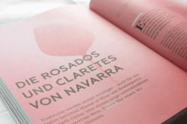 JACOPO BRIDDA | GRAPHIC DESIGN