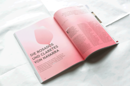 JACOPO BRIDDA | GRAPHIC DESIGN